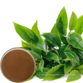 Natural 98% Tea polyphenol Green Tea Extract Powder